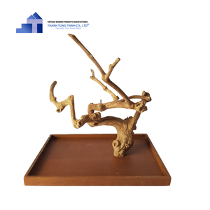 Hot Item Best Selling <b>Bird</b> <b>Perches</b> Java Wood Perch for <b>Birds</b> Accessories From Vietnamese Manufacturer for Wholesalers - Product Image 4