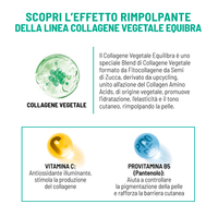 Distributor B2B Krim Kontur Mata Anti-Kerut dengan Phytocollagen Vitamin C B5 Perusahaan Italia Equilibra