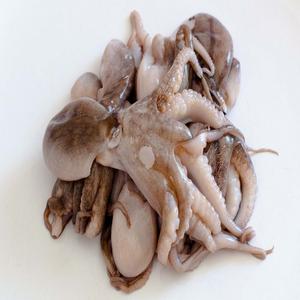 Pieuvre bébé congelée nettoyée entière - Product Image 6