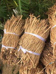 เชือกผักตบชวาธรรมชาติตากแดดแห้งสำหรับงานฝีมืออุปกรณ์เสริมและเฟอร์นิเจอร์ - Product Image 4