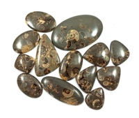 Lote de Cabujones de Ammonites Naturales de Marston, Formas Variadas, Curación de Chakras, Piedras Preciosas Sueltas para Joyería, Origen Reino Unido