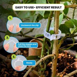 Agricultural Plastic Garden Clips Plant <b>Support</b> Trellis and Vine Clips for <b>Tomatoes</b> Vegetables <b>Tomato</b> Clips for Garden <b>Support</b> - Product Image 4