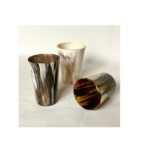 Unique Viking Beer Horn <b>Glass</b> Designed in India Handicraft Items for Medium Size Cocktail Horn <b>Glass</b> for Sale by luxury crafts - Product Image 6