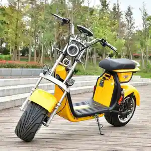 Wholesale Best Eec Coc Ce Legal China Adult 1500W 1500W 2000W 60V 18In Folded Balancing Fat Tire Electric Motor Bike Bicycle Wux