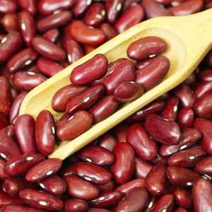 Venta al por mayor de frijoles rojos secos de alta calidad, envasados al vacío, con 60% de proteína, 10% de humedad, 2% de ceniza, 2 años de duración, Alemania - Product Image 2