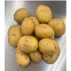 FOR SALE 100% Organic Fresh Potato Oval Shape Potatoes - Product Image 5