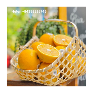 ATRACTIVA FRUTA CONTIENE DE BAMBÚ-CESTA DE BAMBÚ ÚNICA DE VIETNAM para ALMACENAMIENTO DE FRUTAS VENTA A PRECIO BARATO ALTA CALIDAD - Product Image 1