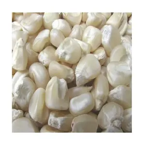 Global Exporter of Best Quality White Sweet Frozen Style Yellow / White Maize Corn at Good Price wholesale sale From Germany