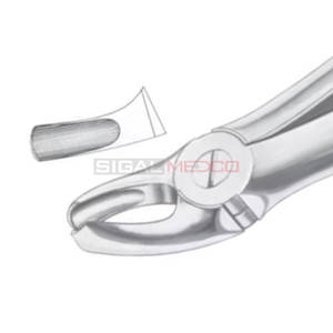 คีมถอนฟันที่มีฟันกรามบน18ซี่มีขนาดแตกต่างกันขายส่ง - Product Image 5