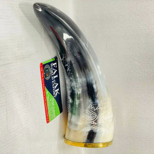 Cuerno de beber vikingo moderno auténtico Cuerno de vaca y buey natural Animal náutico pulido a mano Cuerno tallado Falak World Export - Product Image 1