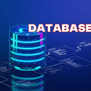 Soluciones Profesionales de Gestión de Bases de Datos para Aplicaciones Empresariales y Sistemas de Datos Digitales, Servicios de Organización de Datos - Product Image 2