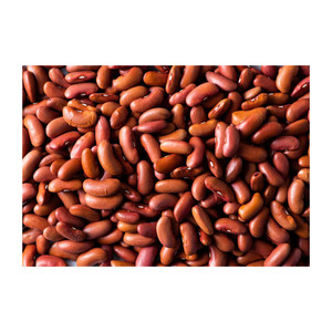 Suministro a granel de frijoles enlatados de salmuera pelada adecuados para catering y fabricación - Product Image 5