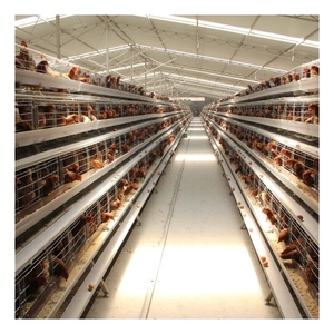 Bon prix équipement d'élevage d'animaux et de volailles cages en batterie pour poulets pondeuses batterie automatique poulet - Product Image 3