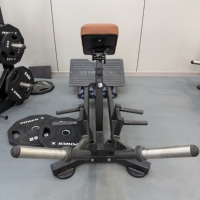 Machine à Rameuse T-Bar Professionnelle PowerX à Charge de Poids pour Entraînement de la Force du Dos