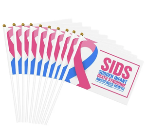 도매 4x6 인치 미니 핸드 헬드 플래그 사용자 정의 로고 내구성 폴리 에스테르에 디지털 인쇄 비행 맞춤형 미니 플래그 - Product Image 6