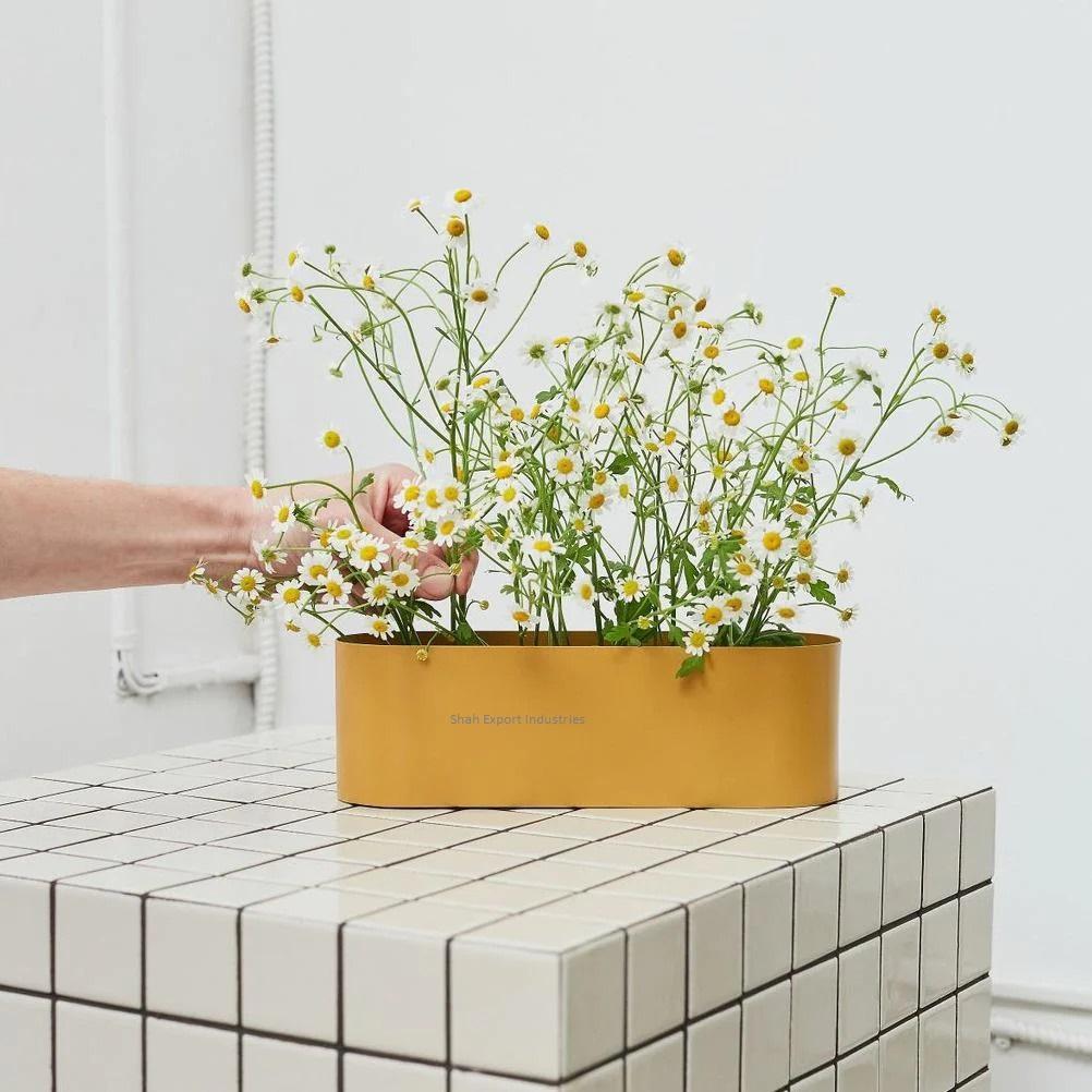 มัสตาร์ด