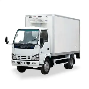 Howo-Mini caja de carga para camión, camión de carga refrigerada, 4x2
