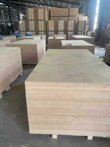 Best price E0 Sanded surface Wholesale <b>Decorative</b> <b>Wall</b> <b>Panel</b> Cabinet Door Usage Modern Design Birch Plywood Carb P2 1220x2440mm - Product Image 5