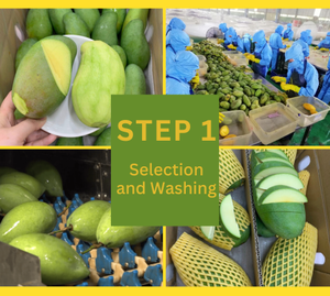 Dried Mango Slice Soft Texture And Sweet Taste Made With AD Drying Tropical Fruit For Export Grade Market - Product Image 6