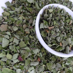 HOJAS DE MORINGA SECAS PARA PRODUCTOS GLOBALES DE SUPERALIMENTACIÓN Y BIENESTAR - Product Image 1