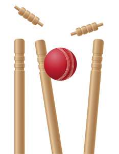 Top Quality Wholesale Light Weight <b>Plastic</b> <b>Cricket</b> Stumps <b>Set</b> for Seniors & Juniors - Product Image 2