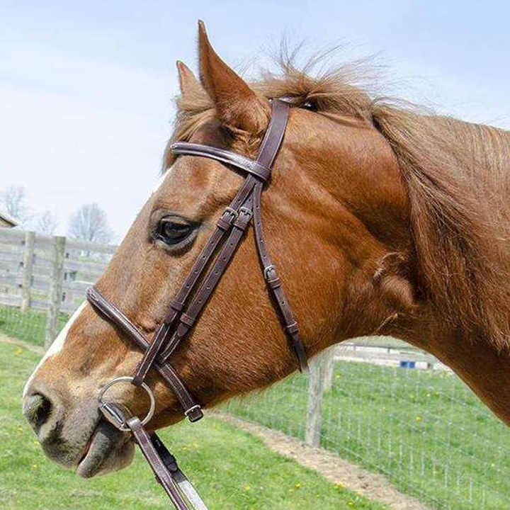 AJR Sport Raised Fancy Stitched Laced Reins main image 0