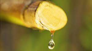 Nectar de fleur de coco vietnamien 100% naturel, goût délicieux, sirop pur de fleur de coco, édulcorant culinaire et pour boissons - Product Image 3