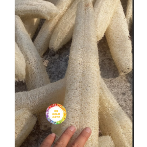 VIETNAM ECO FRIENDLY LOOFAH FOURNISSEUR MATÉRIEL NATUREL PRODUIT DE HAUTE QUALITÉ PRIX CONCURRENTIEL POUR L'EXPORTATION - Product Image 4