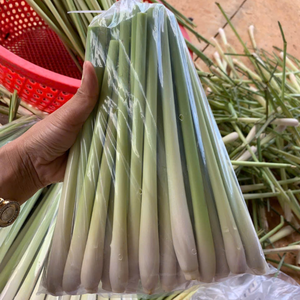 High Quality Frozen Lemongrass Vietnam Supplier Natural Aroma Herb for Global Use - Product Image 1
