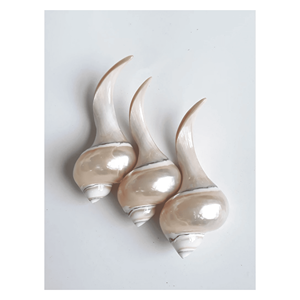 Reposa Palillos de Concha Marina, Auténtico Reposa Utensilios de Concha Marina para Palillos, Cucharas y Tenedores, Mesas de Comedor, Vietnam - Product Image 3