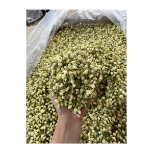 Brotes de jazmín con aroma suave secos para mezclar té ideal para presentaciones de bebidas botánicas o elaboración de cerveza en varios formatos de té - Product Image 3