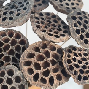 Natural Exotic Tropical Indian <b>Dried</b> Flowers Assortment Eco-Friendly Everlasting Indoor/Outdoor Tabletop Potpourri Decoration - Product Image 2