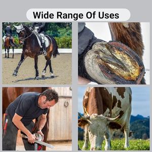 Professional Horse Farrier <b>Tool</b> Kit Grooming Hoof Bot Knife Shoe <b>Puller</b> Nipper Rasps Clincher Horse Farrier <b>Tool</b> Kit by LCI - Product Image 6