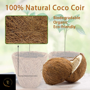 Pots de démarrage de graines de coco biodégradables biologiques de haute qualité Pots de pépinière d'origine indienne pour les semis d'herbes de germination - Product Image 2