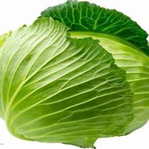 Chou frais résistant au gel pour usage culinaire et industriel à des prix raisonnables - Product Image 6