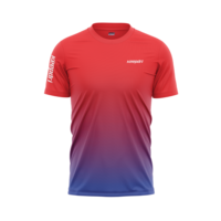 Camisetas Deportivas Unisex Personalizadas OEM ODM de Spandex/Poliéster, Conjuntos de Camisetas sin Costuras con Elasticidad en Cuatro Direcciones, Transpirables, con Impresión por Sublimación