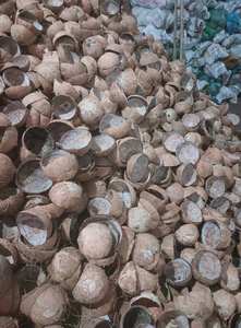 Cáscara de Coco Cruda Premium de Vietnam para la Elaboración de Carbón Vegetal y Uso Industrial, Material a Granel de Alta Calidad Listo para Exportar 2025 - Product Image 3