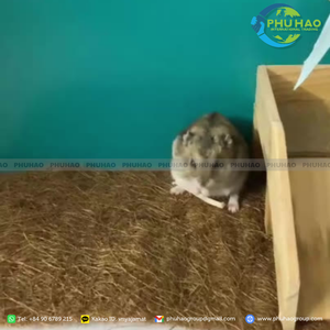 PALM MAT / COIR TAPE High-Quality Affordable Pet Comfort: High-Quality Coir Tape for Cage Lining - Product Image 3