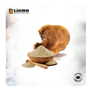 Malaysia LiGNO SH02 Sang Huang Premium Nutraceutical Energy Wellness OEM ODM Friendly Natural <b>Health</b> Powder Functional - Product Image 1