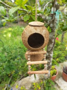 MEILLEUR PRIX NID D'oiseau/MAISON D'oiseau en coque de noix de coco écologique, suspendu, haute qualité - Product Image 2
