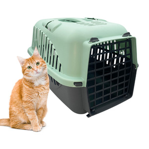 Trasportino in plastica resistente per gatti e cani di piccola taglia 32x47x32cm viaggio sicuro con opzioni verde/grigio/rosa - Product Image 1