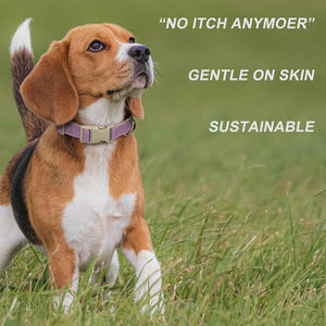 Lavender <b>Dog</b> <b>Collars</b> Elegant Design Durable Material Adjustable Strap Lightweight Comfortable Perfect for Fashionable Pets - Product Image 4