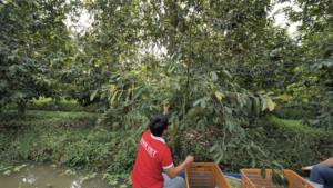 Soursop น้ำผลไม้เข้มข้น10กก. 1กล่องต่อกล่อง OEM ฉลากส่วนตัวตัวอย่างฟรีเวียดนามขายส่ง - Product Image 2