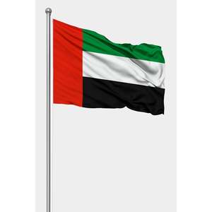 Drapeau de poche des Émirats arabes unis, logo personnalisé, impression numérique sur satin et polyester, mât en aluminium pour utilisation en voiture - Product Image 1