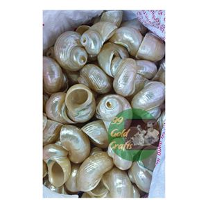 DÉCOR DE CONQUES DE QUALITÉ SUPÉRIEURE 2025 MEILLEURS PRIX TENDANCE CHAUDE ANNEAU DE SERVIETTE THÈME COASTAL 99 DONNÉES D'OR VIETNAM - Product Image 2