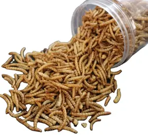 Küçük pert hamster gıda için yüksek protein kurutulmuş mealworms
