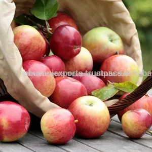 インドからのレッドアップル輸出業者100% 新鮮アップル品質保証良い味と高栄養