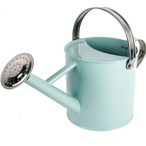 Regadera Decorativa de Metal, Diseño Artesanal, Forma Personalizada, Artículo de Uso, Aspecto Elegante, Estilo Moderno - Product Image 3