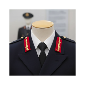 Customized <b>Gold</b> Bullion Embroidered Gorget Collar Badge for Service Uniform with Red fabric and Golden embroidery - Product Image 4