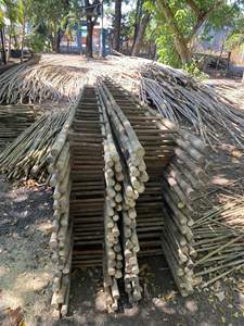 Postes de Bambú Resistentes y Ecológicos Diseñados para Jardinería Profesional, Agricultura y Uso Agrícola a Gran Escala - Product Image 3